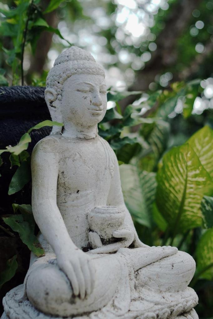 Sattva Yoga Retreat Villas Canggu Exteriör bild